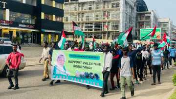 'Yan Shi'a Sun Fito Tattakin Goyon Bayan Falasɗinawa a Birnin Abuja, Sheikh Sidi Munir Ya Yi Magana