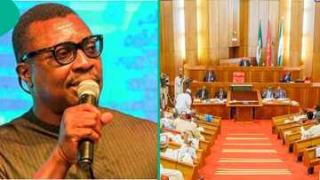 Ali Baba lists jaw-dropping price tags to run for political posts: "N1.2bn to win senate seat"