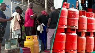 NLNG reveals how cooking gas prices were inflated from N800 to N2,400 per kg