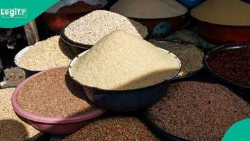 New data shows most expensive, cheapest place to buy bag of rice, beans in Nigeria