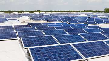 Africa’s biggest solar panel factory berths in Borno state