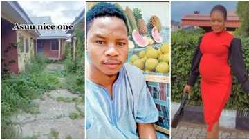 Students get married, give birth: 3 interesting things that have happened during ASUU strike