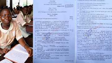 Secondary school students rejoice after seeing cheap questions in English exams, photos trend