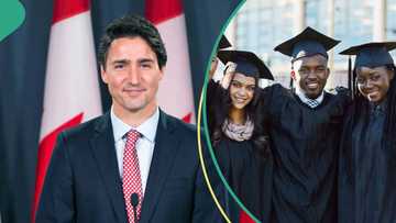 Canada announces changes to Temporary Foreign Workers, Nigerian students affected