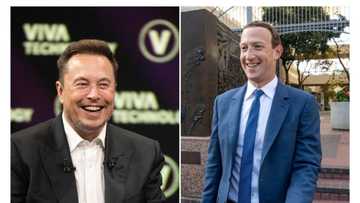 After losing $20bn in one day, Musk’s wealth rises to $242bn, Zuckerberg now 7th richest person in the world