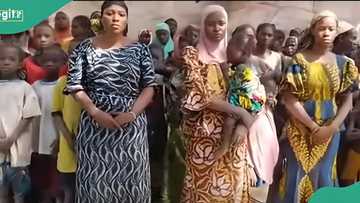 Terrorists release video of 176 abducted Kwara residents as families beg gov't for rescue