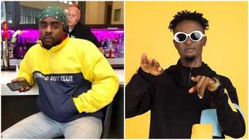 A king - Rapper Wale reacts to video of Laycon using his lyrics to celebrate Prince