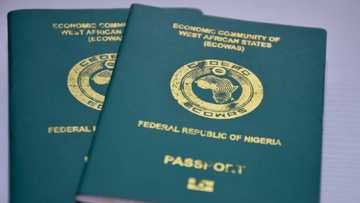 Nigeria's U.S. Embassy, consulates send crucial message to passport applicants over fake website