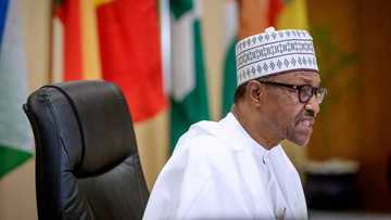 Greenfield University: President Buhari reacts to students' release