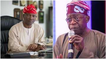 Breaking: Jimi Agbaje defects to APC, supports Tinubu's presidential bid