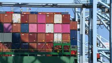 US trade gap shrinks on imports retreat as tariffs fuel worries