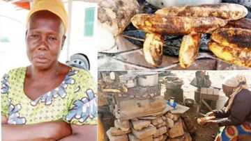 "I have been doing it for 30 years": Nigerian woman trains 3 graduates by roasting yam