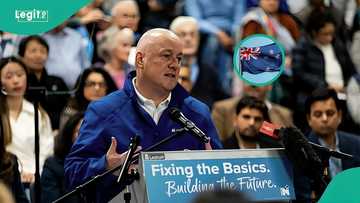New Zealand announces 3 financial ways parents can qualify for 5-year visitor visa