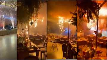 Commotion as fireworks disrupt couple's wedding, guests scream, one of them laughs as she records, many react