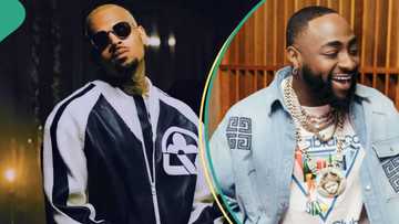 "True spirit of brotherhood": Fans go gaga as Chris Brown calls Davido on stage to perform his song