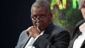 Dangote ya hada-kai da Gwamnati, ya raba N4.2bn domin ceto Mata 20, 000 daga talauci