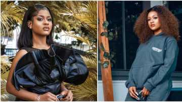 “You’ve done more harm than good to me”: BBN's Phyna breaks down in tears as she addresses fans, video trends