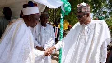 Muhimman abubuwan da Shehun Borno ya fadawa Buhari kan Boko Haram