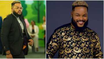 I turned it into a strategy: Whitemoney talks about cooking on BBNaija show, confirms Pere's statement