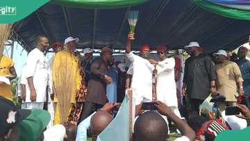 Another Labour Party Reps member, leaders defect to APC