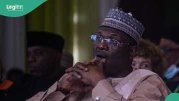 Off-cycle polls: Yiaga Africa releases scorecard of INEC, security agencies, others