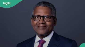 Dangote speaks on how much tax he pays as FG plans higher taxes for wealthy Nigerians