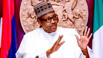 Afenifere finally opens up on why it didn't support Buhari in 2015, 2019 elections