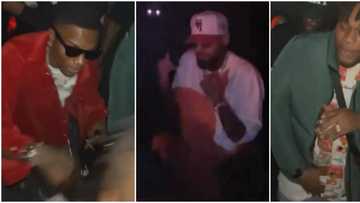 Wizkid parties hard with Chris Brown at club in viral video to celebrate successful O2 concert