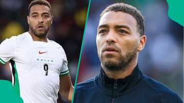 AFCON winner wants bigger role for Cyriel Dessers in Super Eagles after goal vs Ghana