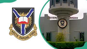 University of Ibadan (UI) distance learning courses: online education in 2025/2026