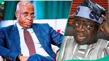 Hardship: "Nigerians yearn for Buhari’s return": Amaechi shades Tinubu, mentions what should happen in 2027