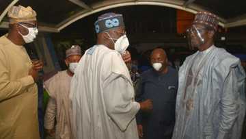 APC caretaker committee meets Tinubu in Lagos as party chieftains close ranks