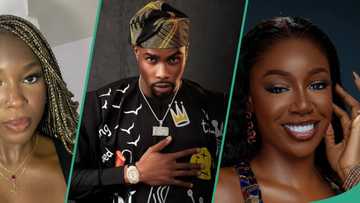 BBNaija All Stars: Vee confirms her suspicion as Tolani Baj expresses feelings for her ex-lover Neo in video