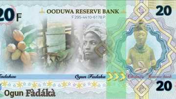Promoters of Oduduwa Republic unveil new currency, details and photo emerge