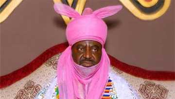 Abubuwan da ya kamata ka sani game da sabon Sarkin Kano, Alhaji Aminu Ado Bayero