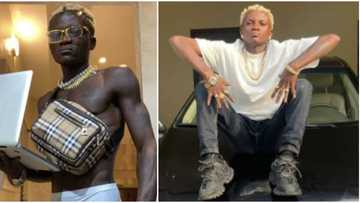 This country suppose dey on Netflix: Funny reactions as Islamic singer praises Allah with Zazoo Zeh