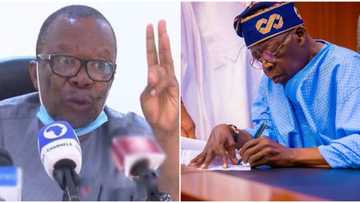 “Students will pull out of school”: ASUU reacts to newly signed student loan act by President Tinubu