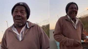Man thinks he's being hired for a job, ends up getting free groceries from faceless Good Samaritan in video