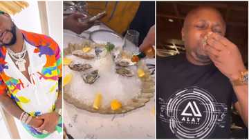 Preparation for London: Davido teaches Isreal how to eat oysters in video, says he must learn 'oyinbo' ways