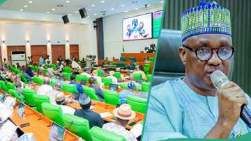 "You're Distracting Me": Drama as speaker warns reps members during plenary session, video trends