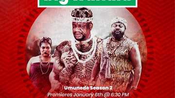 WhatsHotOnGOtv: 5 Shows and Movies to Keep You Entertained this New Year!