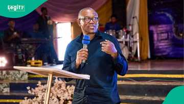 Ba kamar Tinubu ba, Peter Obi ya yi ta maza da aka nemi a saki takardun karatunsa
