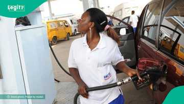 Diesel price rises to 29.72% in July 2025, 10 states pay more