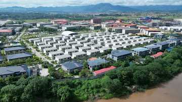 Myanmar scam cities booming despite crackdown -- using Musk's Starlink