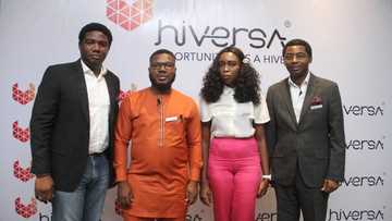 Are you ready for Hiversa! An Ecosystem for job seekers, entrepreneurs, students