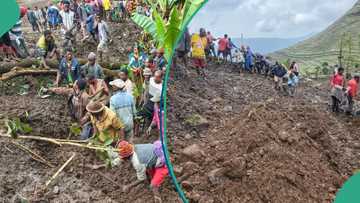 50 dead, 125 missing as devastating landslides ravage communities