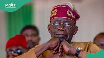 Nigeria set to join Egypt, Mauritius, offers citizenship by investment programme