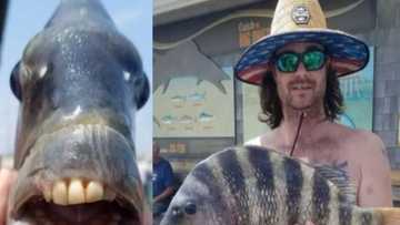 Ikon Allah: Hotunan kifi mai hakoran dan Adam da masunci ya kama sun bada mamaki