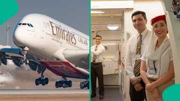 UAE's state-owned aviation company announces new jobs in 2026, releases closing dates