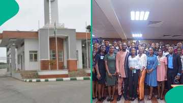 Is education now entirely free in government-owned schools in Nigeria? Fact emerges